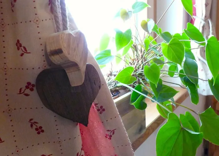 La Fattoria Di Roven